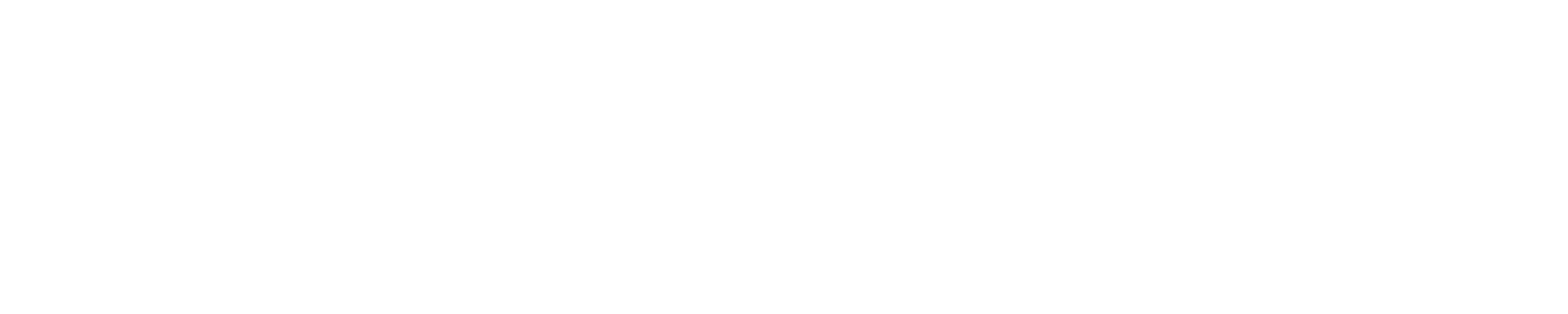 SoftServe—Logo—White